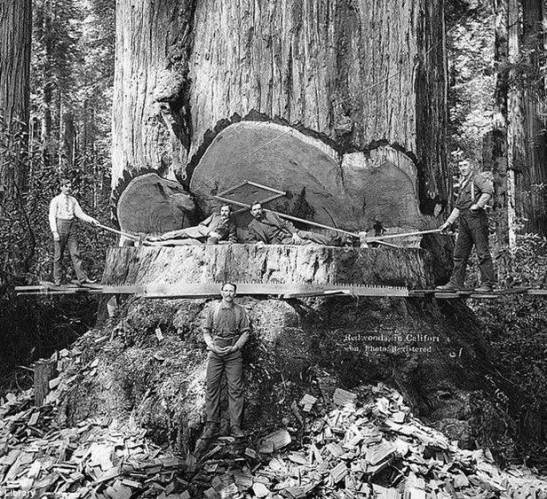 Fotos historicas (21)