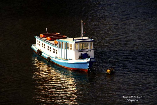 MSC Poesia cenas maritimas (07)