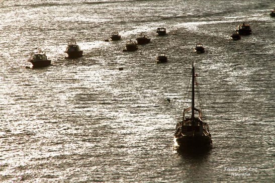 MSC Poesia cenas maritimas (08)