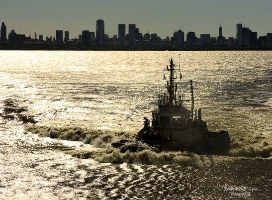 MSC Poesia cenas maritimas (19)