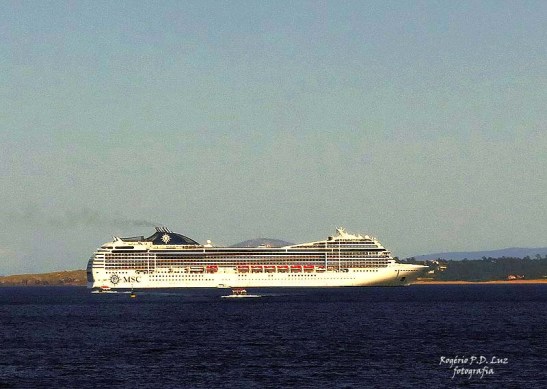 MSC POESIA