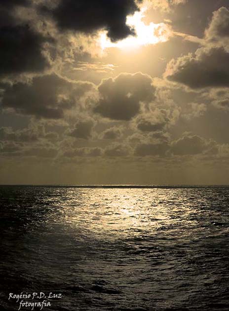 MSC Poesia cenas maritimas (39)