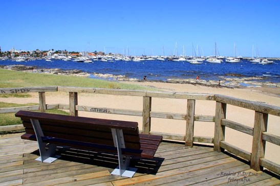 MSC Poesia Punta Del Este 2014 (30)