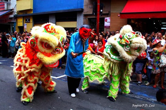Ano Novo Chines 2015 Liberdade (14)