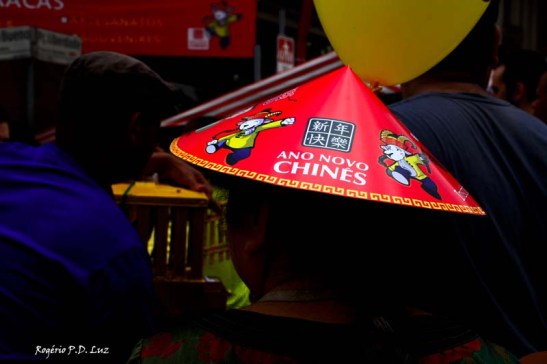 Ano Novo Chines 2015 Liberdade (21)