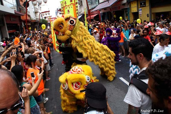 Ano Novo Chines 2015 Liberdade (23)