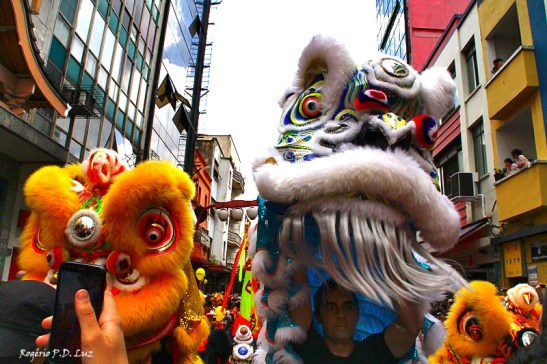 Ano Novo Chines 2015 Liberdade (26)