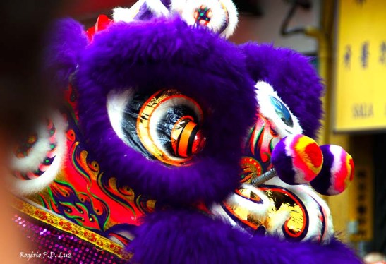 Ano Novo Chines 2015 Liberdade (29)