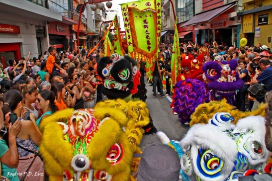 Ano Novo Chines 2015 Liberdade (30)