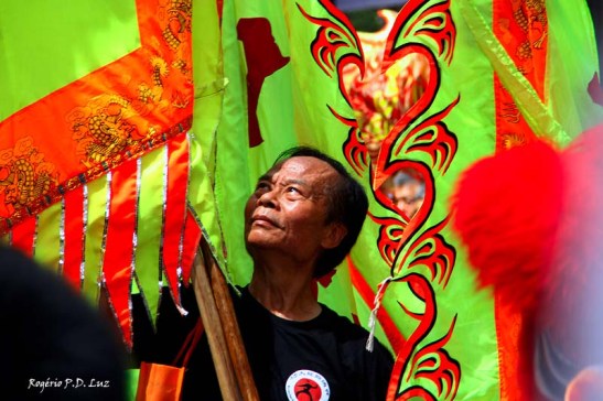 Ano Novo Chines 2015 Liberdade (31)