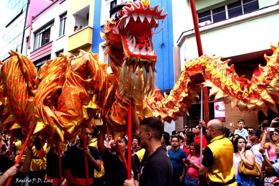 Ano Novo Chines 2015 Liberdade (40)