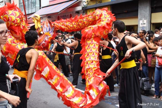 Ano Novo Chines 2015 Liberdade (43.1)