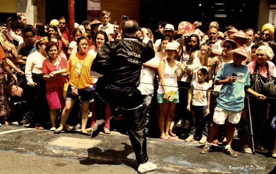 Ano Novo Chines 2015 Liberdade (60)