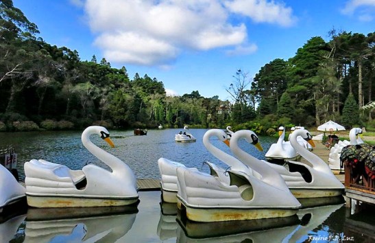 Excursao Gramado e Serra Gaucha abril 2015 (207)