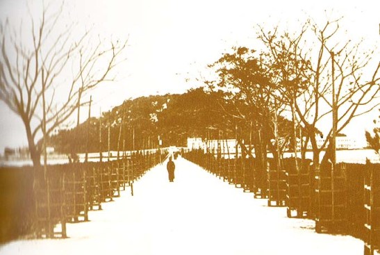 CA 1900