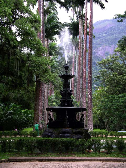Jardim Botânico do Rio de Janeiro (Wikimedia Commons)