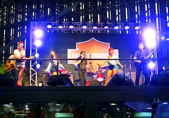 Salao 2 Rodas 2015 . Harley Davidson 21