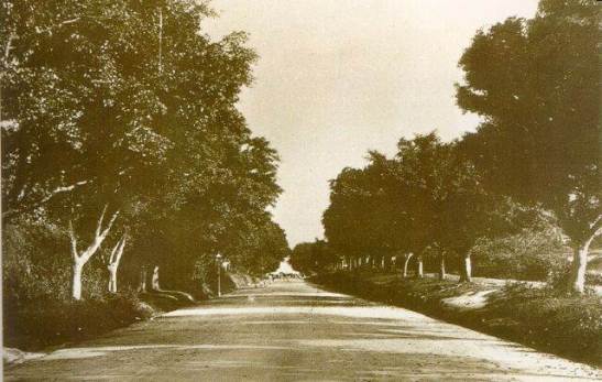 1900年彌敦道 Nathan Road