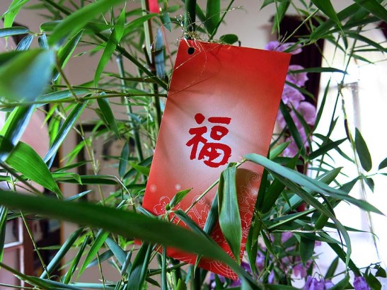 Casa Macau Sao Paulo festa Ano Novo chinês 2016 28