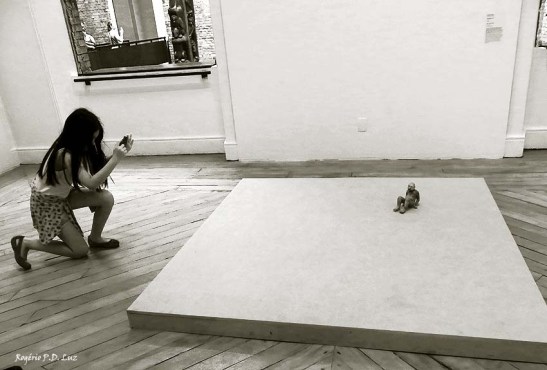 Pinacoteca de Sao Paulo 10