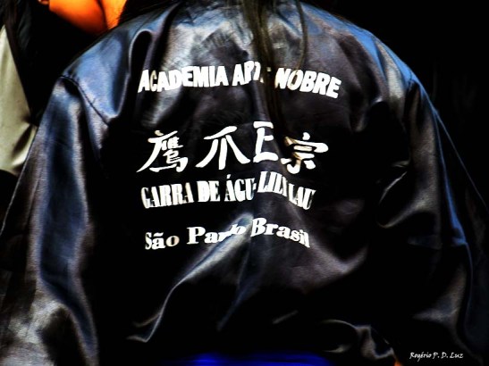 Sao Paulo festa Ano Novo Chines 2016 54