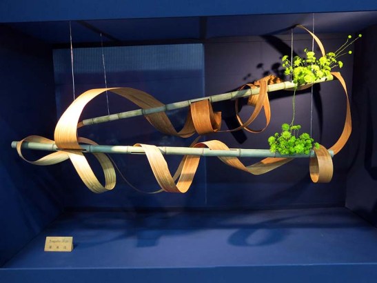 Festival de Japao . Sao Paulo . 2016 . 79