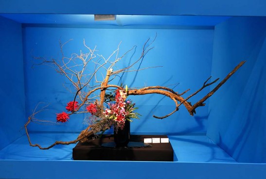 Ikebana arte do Japao 03