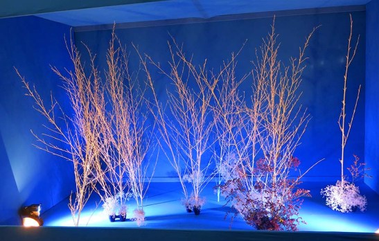 Ikebana arte do Japao 11