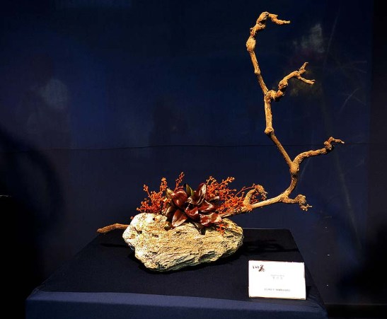Ikebana arte do Japao 13