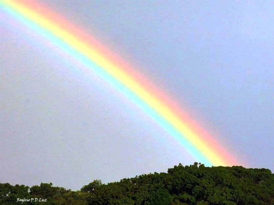 sitio-arco-iris-out-2016-02