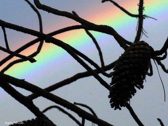 sitio-arco-iris-out-2016-08