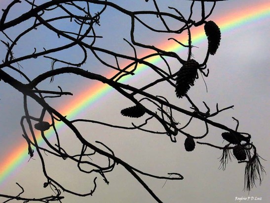 sitio-arco-iris-out-2016-09