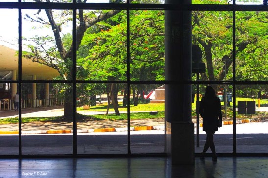 bienal-de-arte-de-sao-paulo-2016-05
