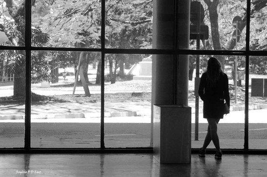 bienal-de-arte-de-sao-paulo-2016-08-pb