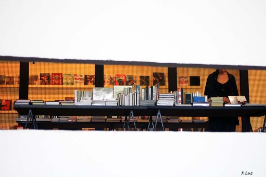 bienal-de-arte-de-sao-paulo-2016-09