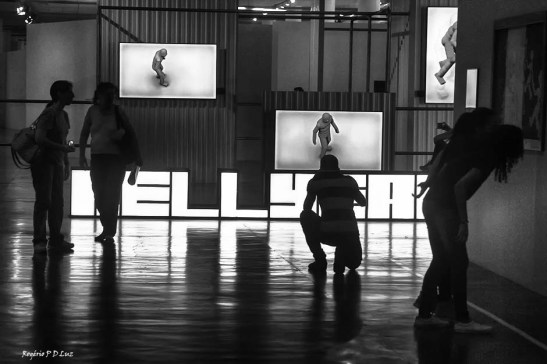 bienal-de-arte-de-sao-paulo-2016-13