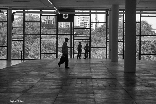 bienal-de-arte-de-sao-paulo-2016-21