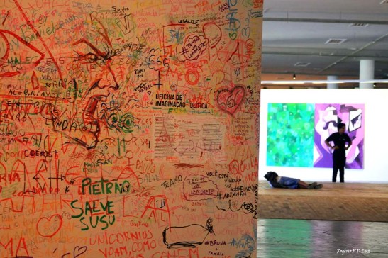 bienal-de-arte-de-sao-paulo-2016-23