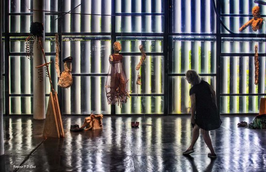 bienal-de-arte-de-sao-paulo-2016-29