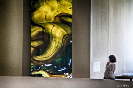 bienal-de-arte-de-sao-paulo-2016-30