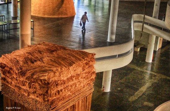 bienal-de-arte-de-sao-paulo-2016-32