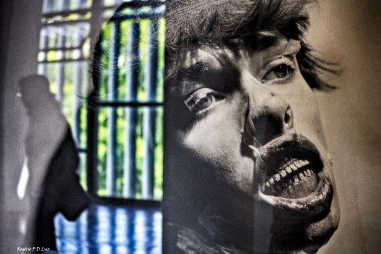 bienal-de-arte-de-sao-paulo-2016-34