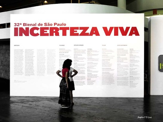 bienal-de-arte-de-sao-paulo-2016-36