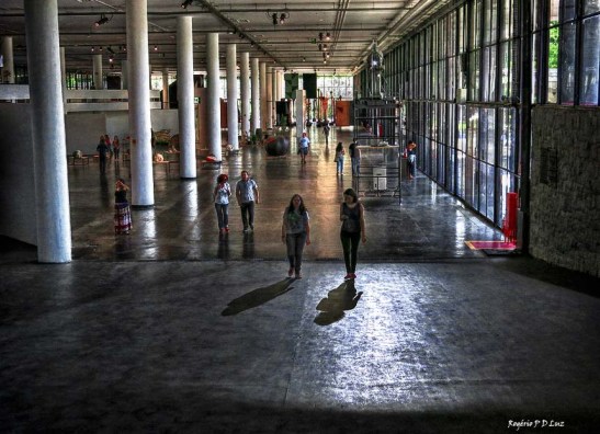 bienal-de-arte-de-sao-paulo-2016-49