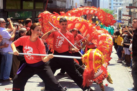 ano-novo-chines-2017-em-sao-paulo-01