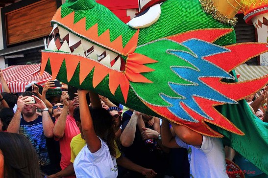 ano-novo-chines-2017-em-sao-paulo-04