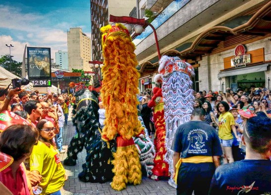 ano-novo-chines-2017-em-sao-paulo-10
