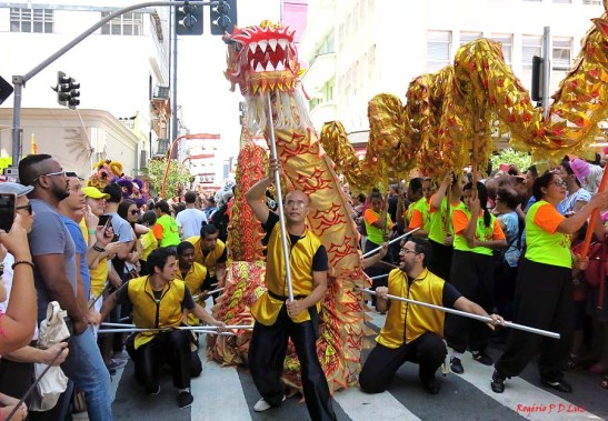 ano-novo-chines-2017-em-sao-paulo-12